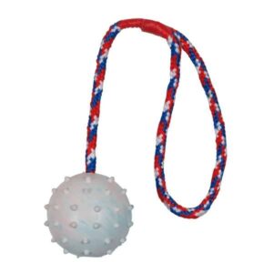 Trixie Naturgummiball am Seil - 7 cm / 30 cm