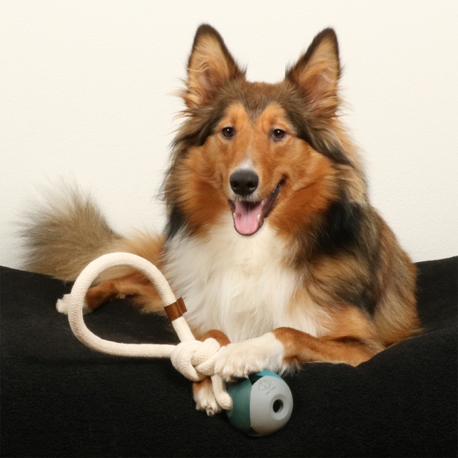 D&D Hundespielzeug Nora - lagoon – Bild 3