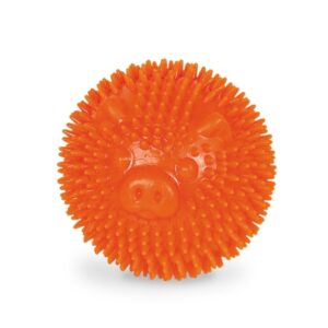 Nobby TPR Noppen Ball Pig - 6,5cm
