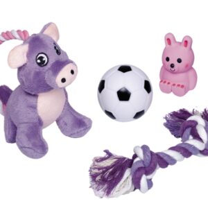 Nobby Puppy Starter Set - 4 teilig